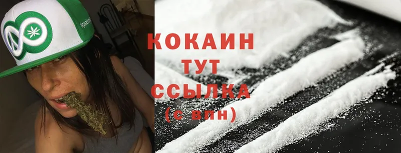 COCAIN Fish Scale  как найти наркотики  Цоци-Юрт 