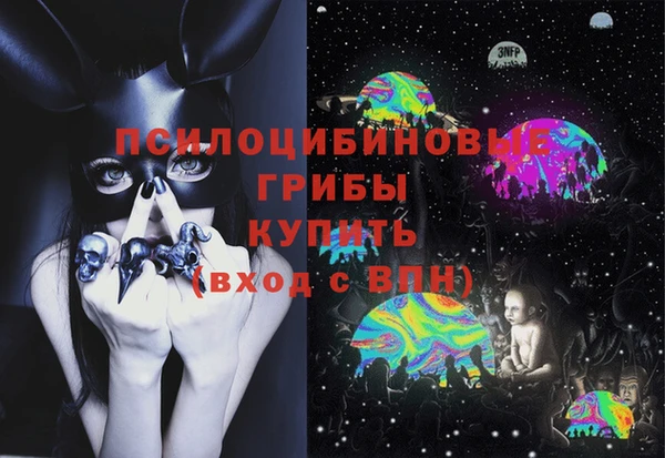 МДПВ Магас
