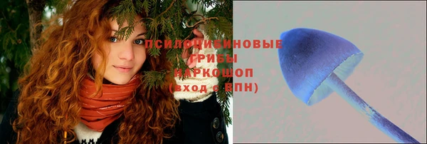 тгк Магадан