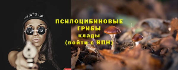 тгк Магадан