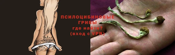 тгк Магадан