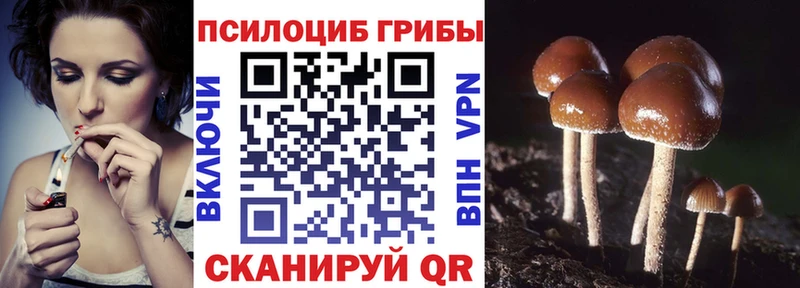 где продают   Цоци-Юрт  Галлюциногенные грибы GOLDEN TEACHER 