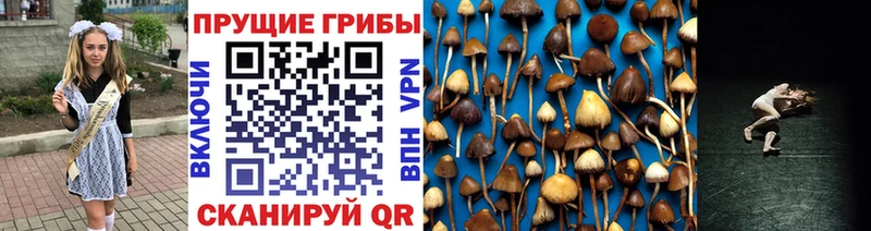Галлюциногенные грибы мицелий Цоци-Юрт